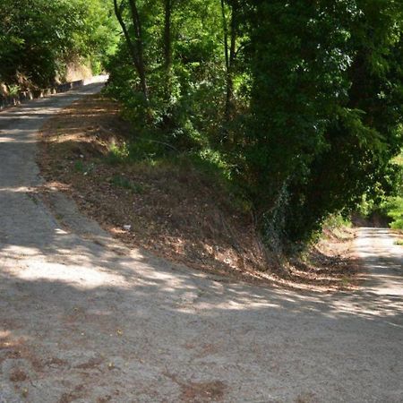 A'Loro B&B Terranuova Bracciolini Exteriör bild