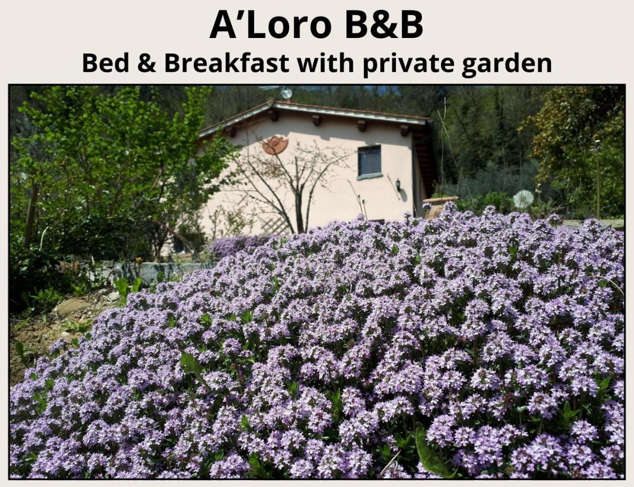 A'Loro B&B Terranuova Bracciolini Exteriör bild