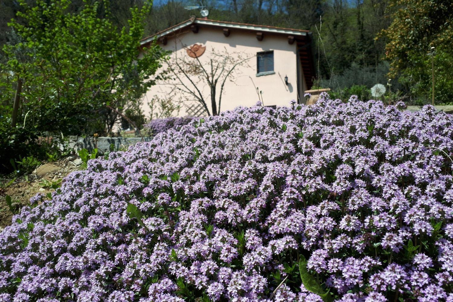 A'Loro B&B Terranuova Bracciolini Exteriör bild