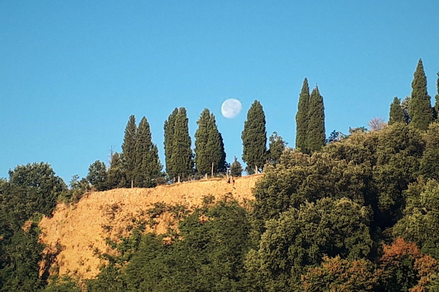 A'Loro B&B Terranuova Bracciolini Exteriör bild